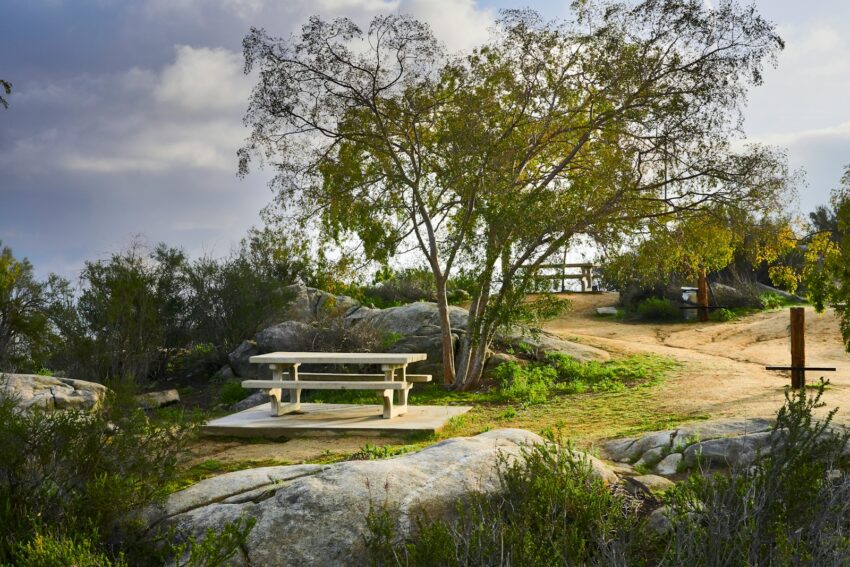 brown wooden bench near green trees under white clouds during daytime